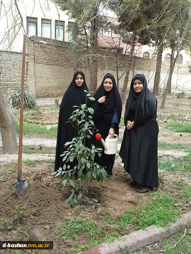 روز درختکاری