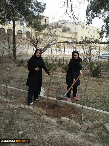 روز درختکاری