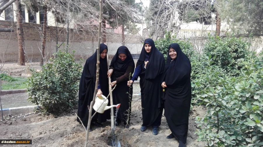 روز درختکاری