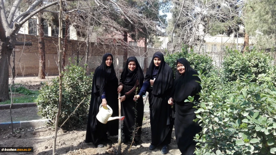 روز درختکاری