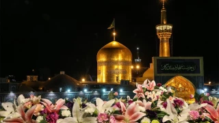 میلاد امام رضا (ع) امام مهربانی مبارک باد