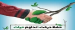 روز درختکاری گرامی باد 2