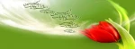 میلاد باسعادت امام حسین (ع) و روز پاسدار مبارک باد 2