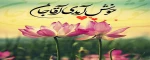 میلاد منجی عالم بشریت حضرت مهدی (عج) مبارک باد 2