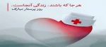 میلاد حضرت زینب (س) و روز پرستار گرامی باد 2
