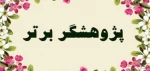 کسب مقام پژوهشگر برتر عضو هیات علمی دانشکده فنی و حرفه ای دختران کاشان 2