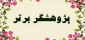 کسب مقام پژوهشگر برتر عضو هیات علمی دانشکده فنی و حرفه ای دختران کاشان