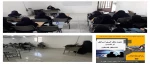 برگزاری گفتمان دانشجویی 2