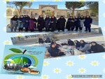 حضور کارکنان دانشکده فنی و حرفه ای دختران کاشان در پیاده روی و تنفس صبحگاهی 2