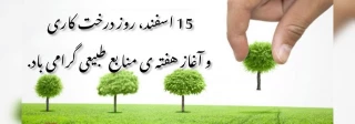 15 اسفند روز درختکاری گرامی باد