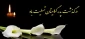 عرض تسلیت خدمت سرکار خانم مهندس جدی
