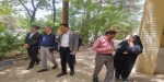 بازدید  8