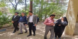 بازدید  8