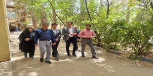 بازدید  11