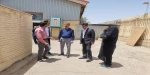 بازدید  12