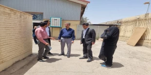 بازدید  12