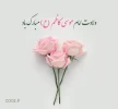 میلاد هفتمین اختر تابناک امامت و ولایت حضرت امام موسی کاظم (ع) مبارک باد 2