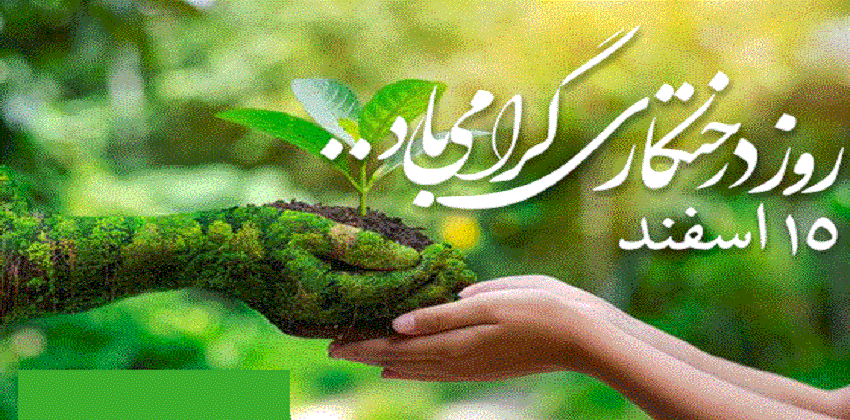 پانزدهم اسفند ماه ، روز هدیه ی درخت به زمینِ پیر مبارک باد 2